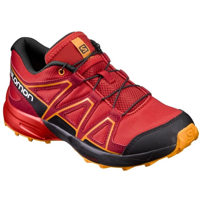 salomon speedcross 2014